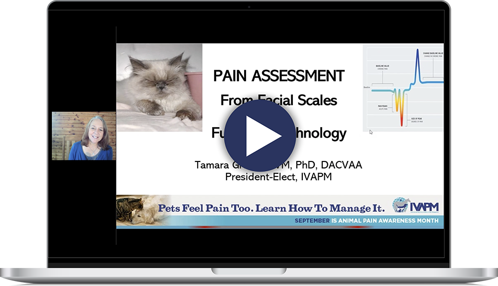 Pain Asessment Webinar Thumbnail on Laptop-01 Pain Asessment Webinar Thumbnail on Laptop-01