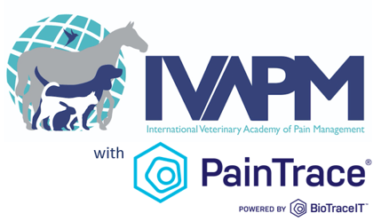 ivapm-paintrace logo ivapm-paintrace logo